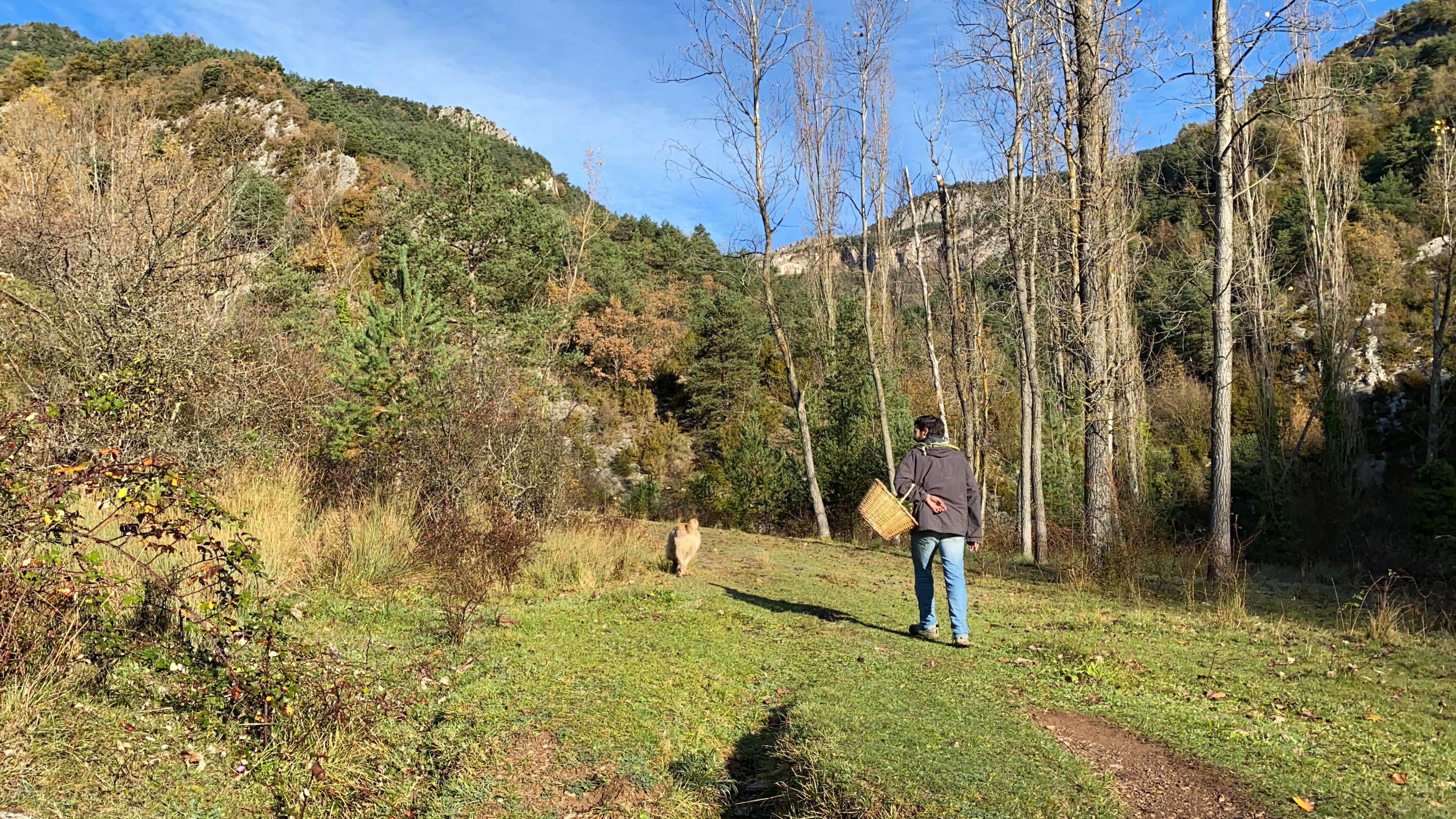 Aniol mushroom hunting in the Pyrenees with his faithful dog Whiskey (by Alan Ruiz Terol)